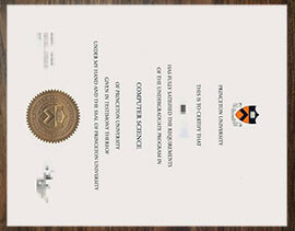 purchase realistic Princeton University degree