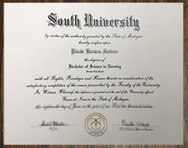 purchase realistic South University degree