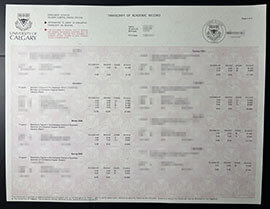 purchase realistic University of Calgary Transcript