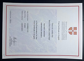 purchase realistic University of Cambridge Local Examinations Syndicate certificate