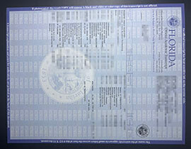 purchase realistic University of Florida Transcript