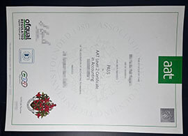 purchase realistic AAT Level 2 Certificate in Accounting