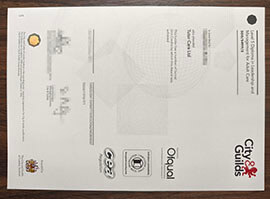 purchase realistic City & Guilds Level 5 Diploma
