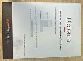 purchase realistic Evofenedex Opleiding & Training Verklaart diploma