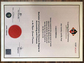 purchase realistic Lupane State University degree