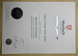 purchase realistic Murdoch University degree