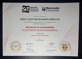 purchase realistic Newcastle University Singapore Institute of Technology degree