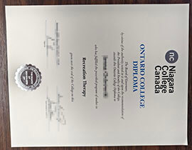 purchase realistic Niagara College diploma