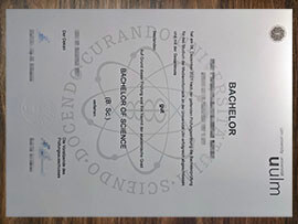 purchase realistic Ulm University degree