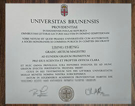 purchase realistic Universitas Brunensis degree