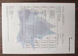 purchase realistic University of Brighton Transcript