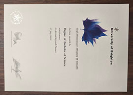 purchase realistic University of Brighton degree