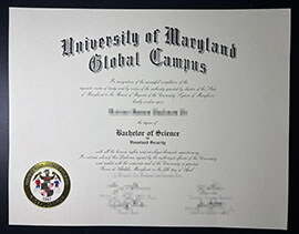 purchase realistic University of Maryland Global Campus degree