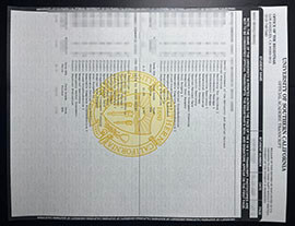 purchase realistic University of Southern California Transcript