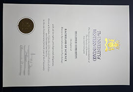 purchase realistic University of Western Ontario degree