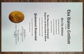 purchase realistic APEGA diploma