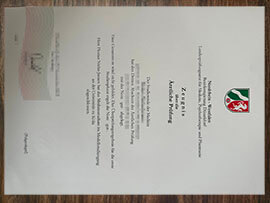 purchase realistic Bezirksregierung Düsseldorf Ärztliche Prüfung Zeugnis certificate