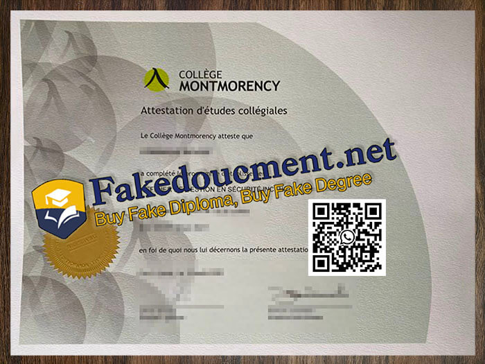 purchase realistic Collège Montmorency diploma