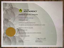 purchase realistic Collège Montmorency diploma