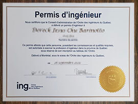 purchase realistic Permis D'Ingénieur certificate