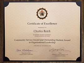 purchase realistic Robert Morris University Certificate of Excellence
