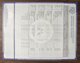 purchase realistic Santa Monica College Transcript