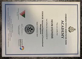 purchase realistic Corrective Services Nsw Academy degree