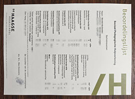 puirchase realistic De Haagse Hogeschool Transcript
