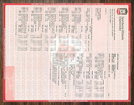 purchase realistic Northern Illinois University Transcript