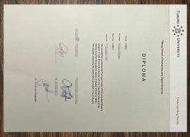 purchase realistic Tilburg University diploma