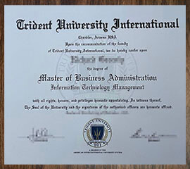 purchase realistic Trident University International degree