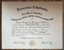 purchase realistic Universitas Colgatensis degree