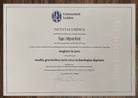 purchase realistic Universiteit LeidenUniversiteit Leiden degree