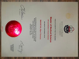 purchase realistic University of the Free State degree