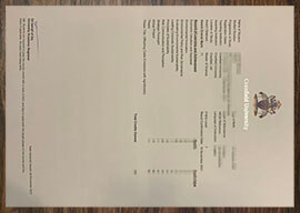 purchase realistic Cranfield University Transcript