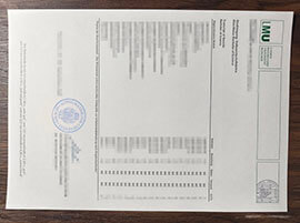 purchase realistic Ludwig Maximilians Universität München Transcript