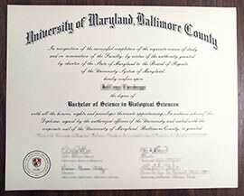 purchase realistic University of Maryland Baltimore County degree